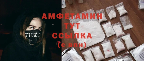 мет Пересвет