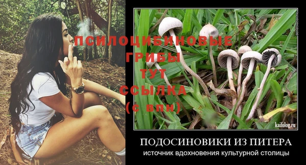 ГАЛЛЮЦИНОГЕННЫЕ ГРИБЫ Переславль-Залесский