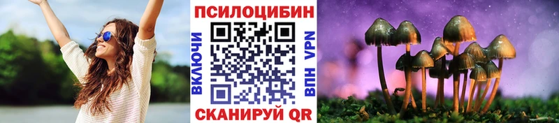 сколько стоит  Абаза  Псилоцибиновые грибы Cubensis 