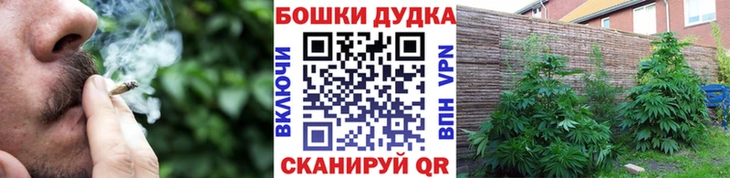 Бошки марихуана план  цены   Абаза 